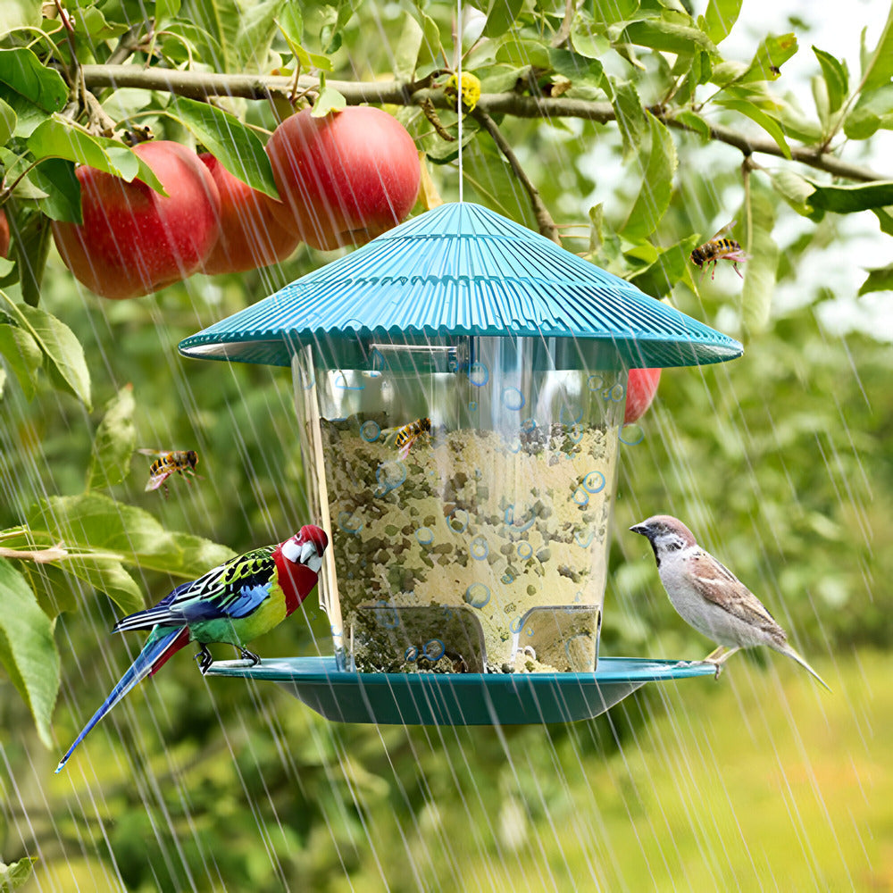 Automatische vogelvoeder | Zeshoekig ontwerp met transparant lichaam 1
