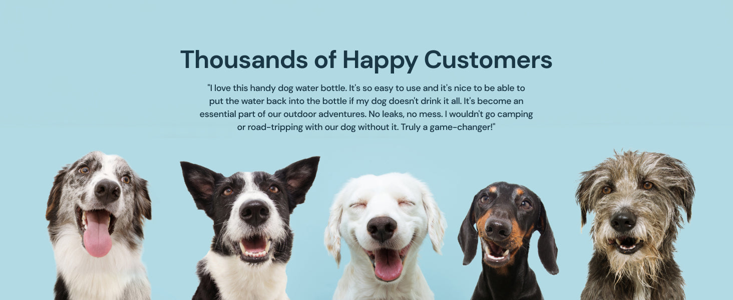 Compacte Honden Drinkfles | Navando