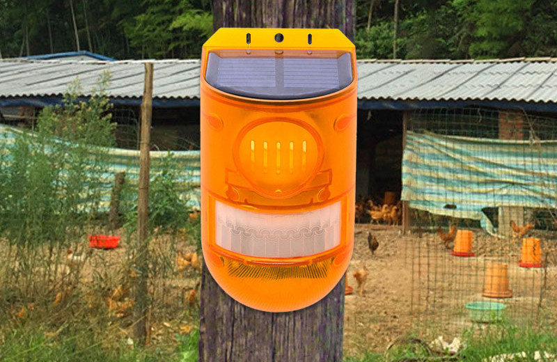 EcoGuard | Zonne-energie dierenverjager met alarm 1