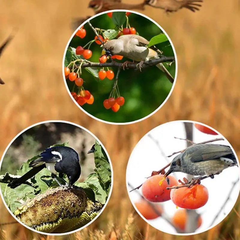 Elektrische Vogelverjager Op Zonne-Energie Met Geluid | Navando