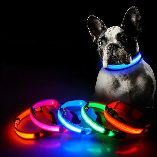 GlowPets | LED hondenhalsband met nylon vlechtwerk 1