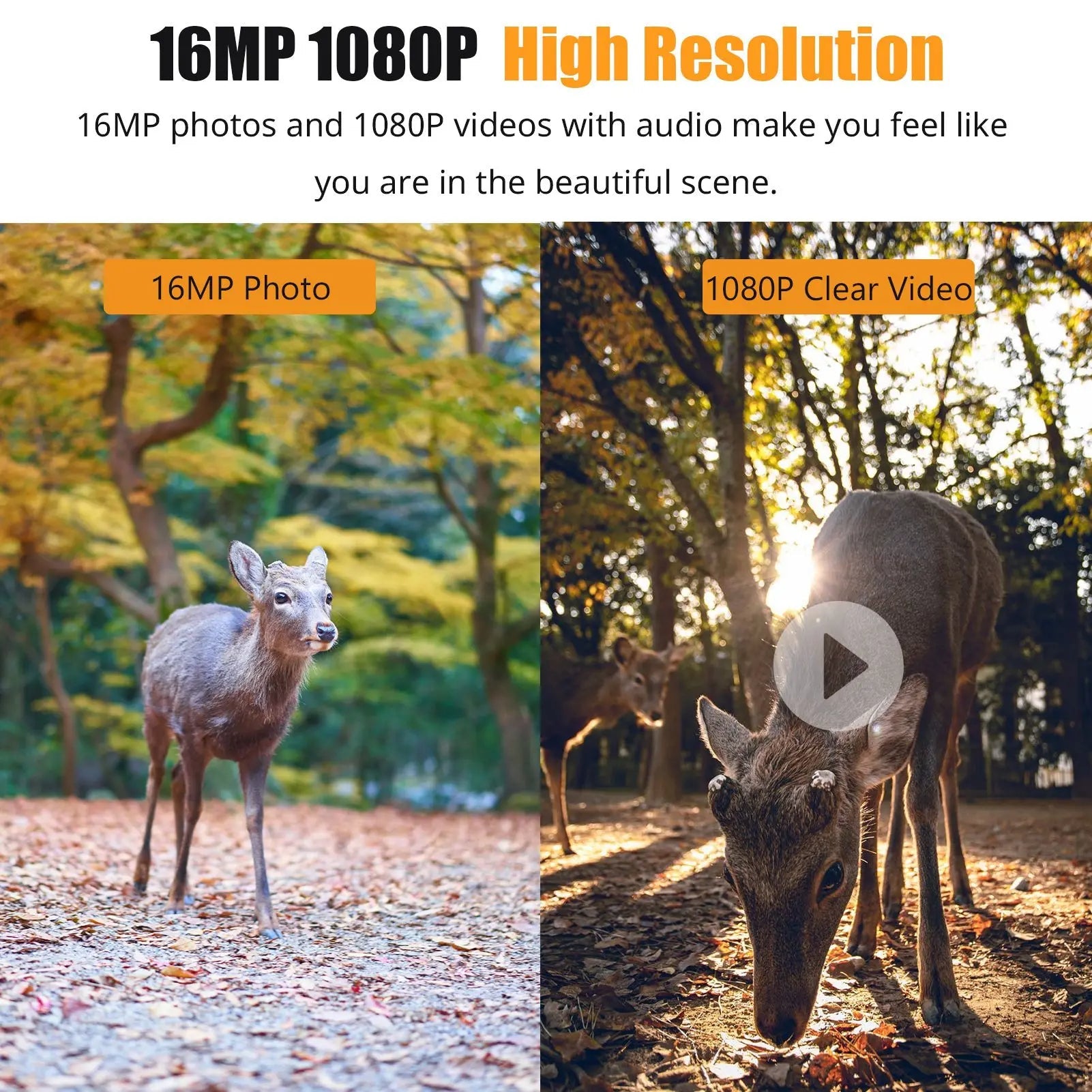 Nachtzichtcamera | 1080P video, 16 MP foto, 120 graden groothoeklens 1