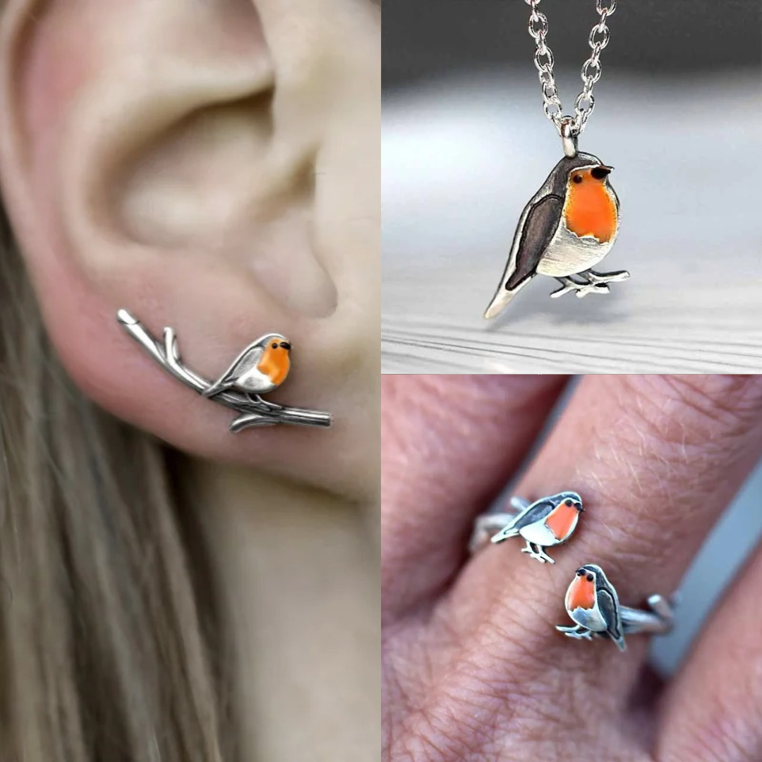 Navando | Roodborstje Sieradenset Met Ketting En Oorbellen