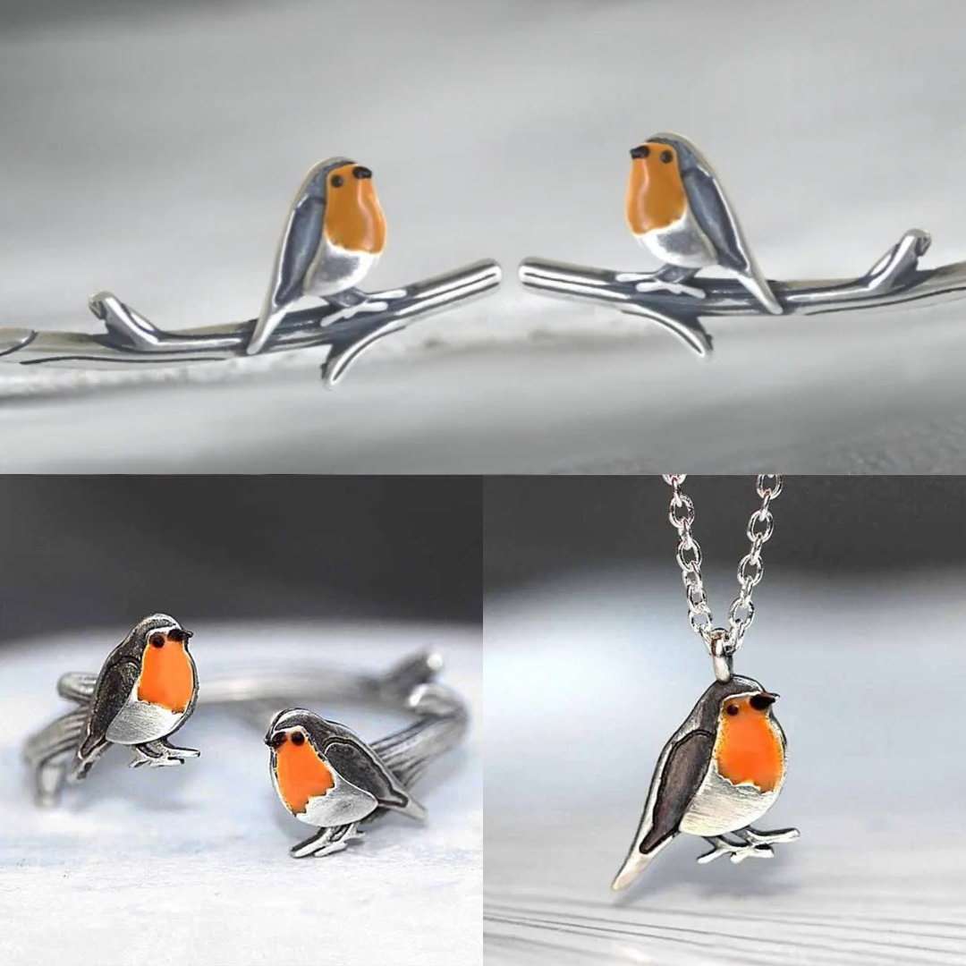 Navando | Roodborstje Sieradenset Met Ketting En Oorbellen