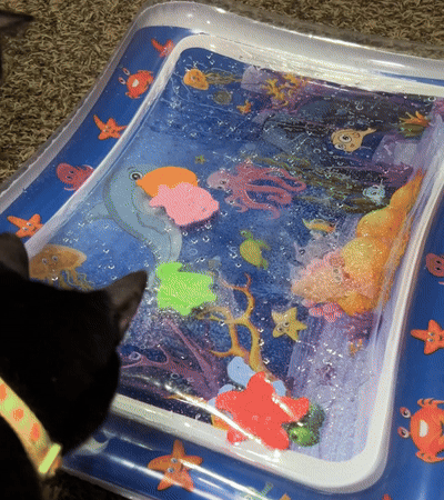 Sensorische Watermat Voor Katten | Navando