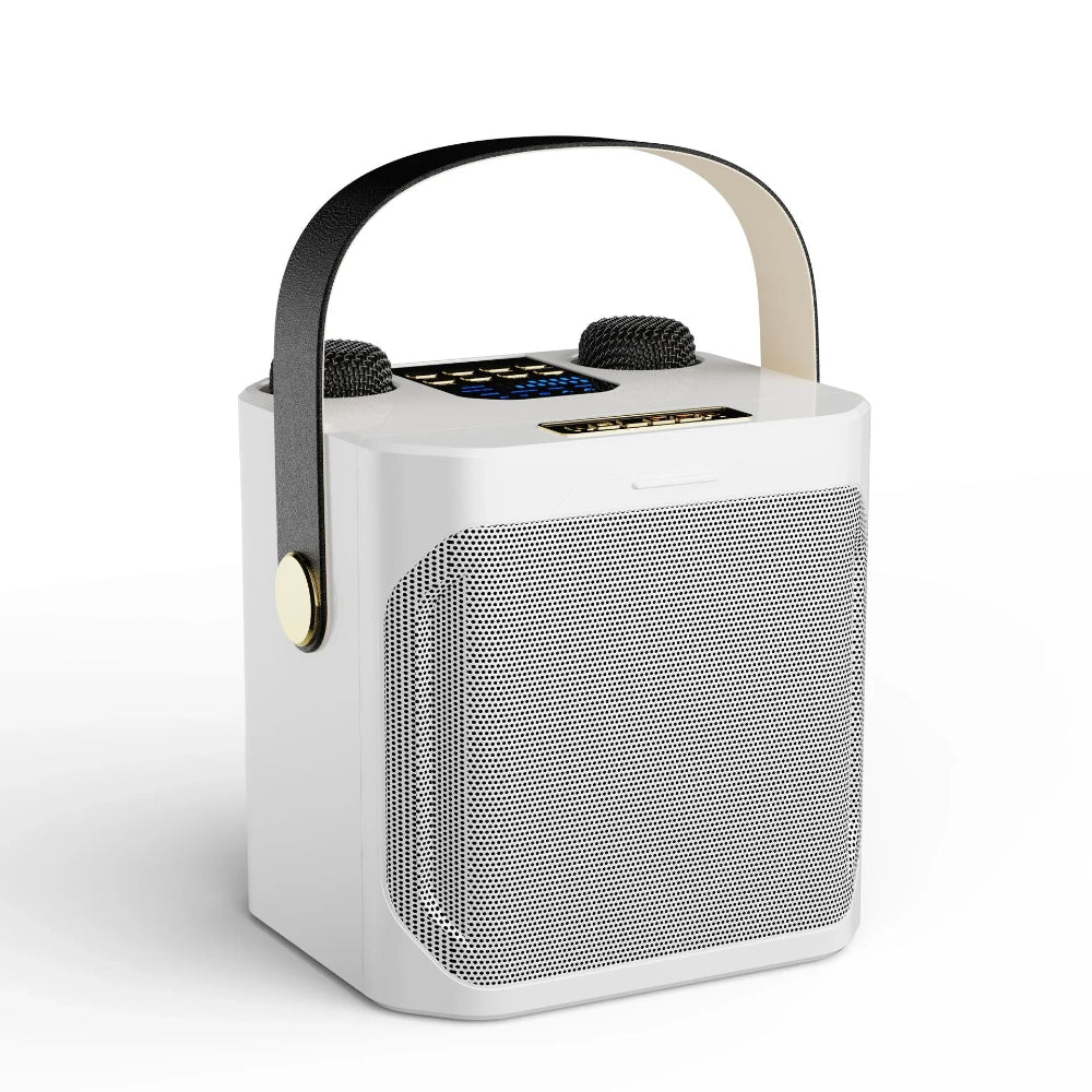 Joost | Draagbare karaoke speaker met twee microfoons - view 4