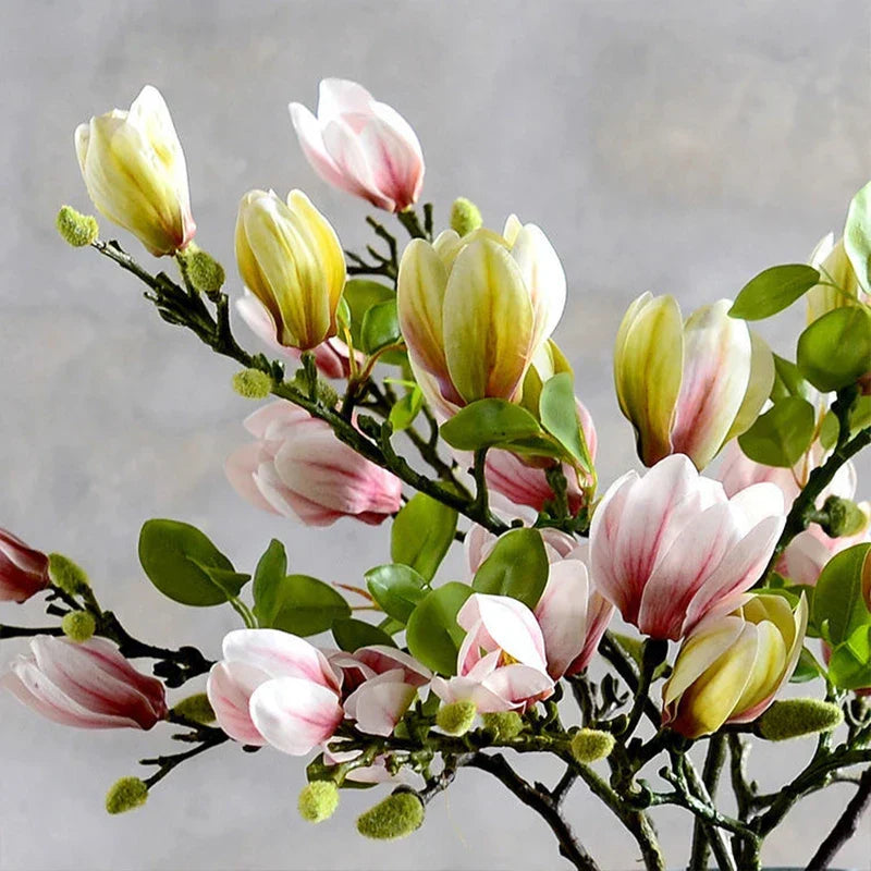 Loek | Kunsttak met magnolia bloemen - foto 6