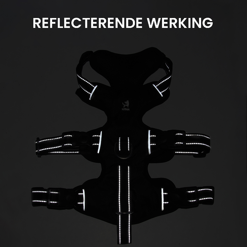 Loek | Reflecterend anti-trektuig voor honden - view 7