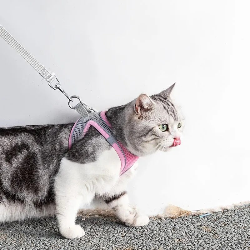 Stef | Kattenharnas met lijn, verstelbaar en reflecterend - Roze