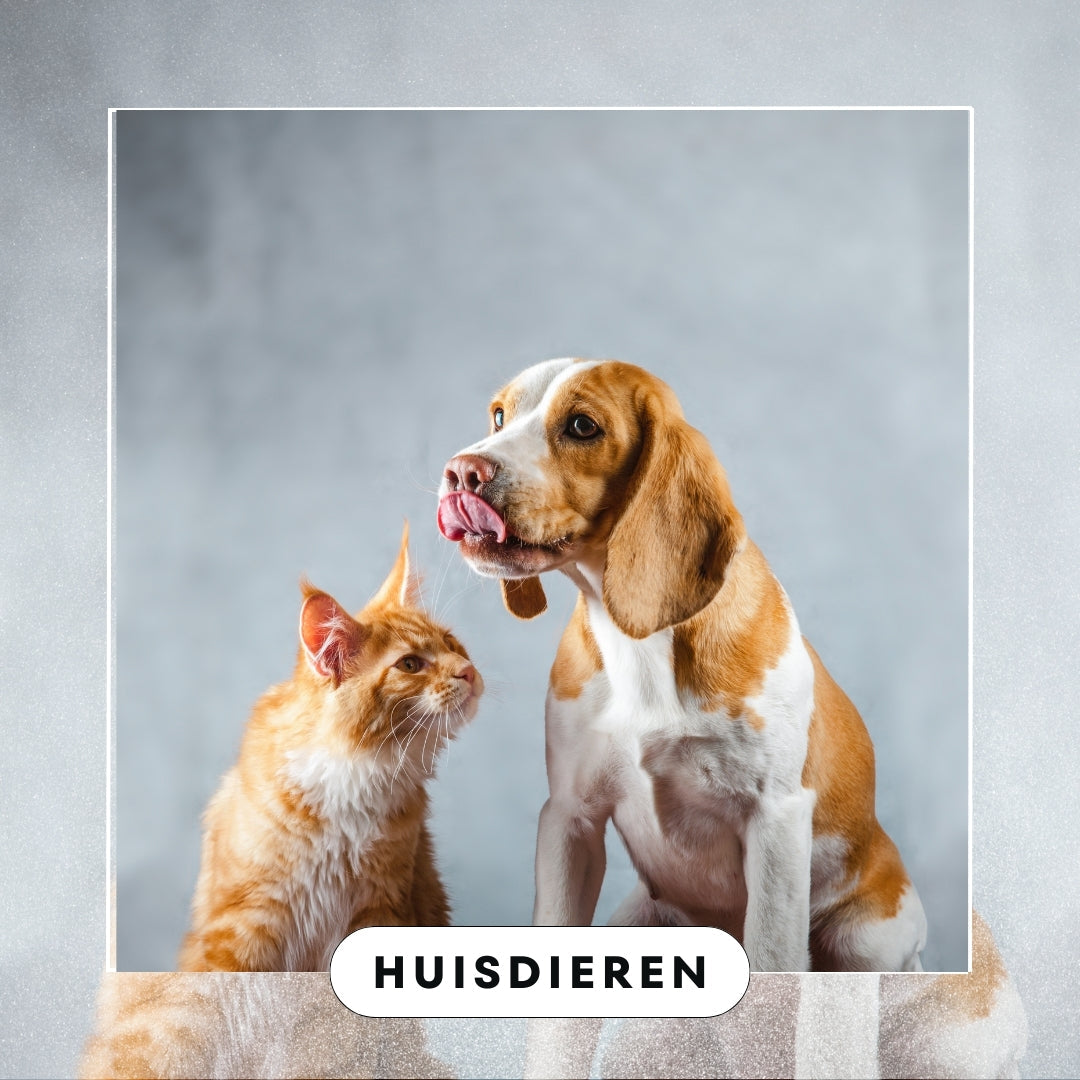 Huisdieren