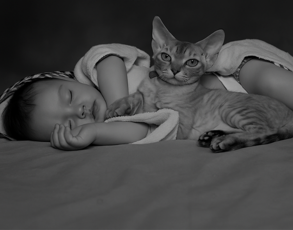 Waterbestendige Wi-Fi 1080P draadloze beveiligingscamera voor thuis