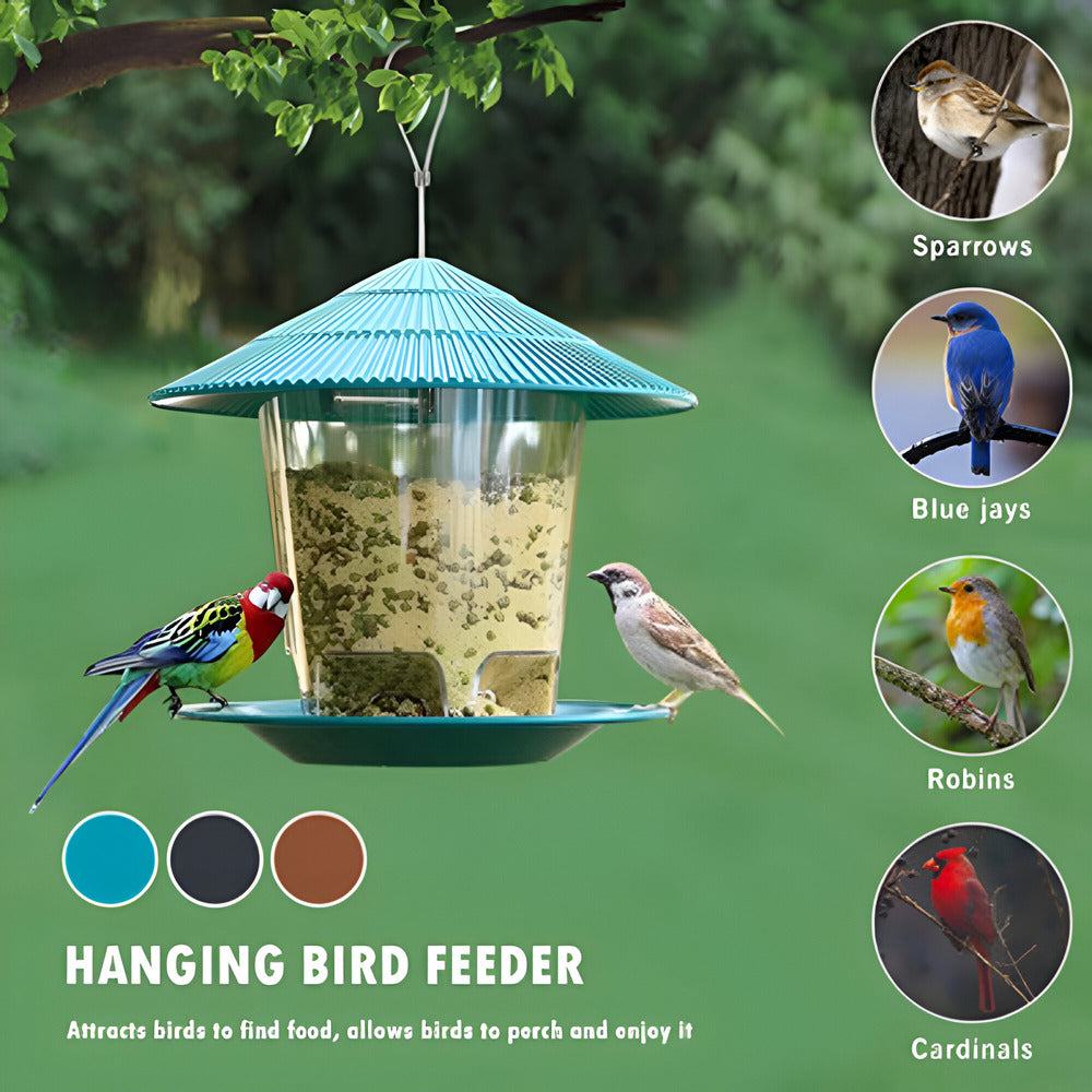 Automatische vogelvoeder | Zeshoekig ontwerp met transparant lichaam 2