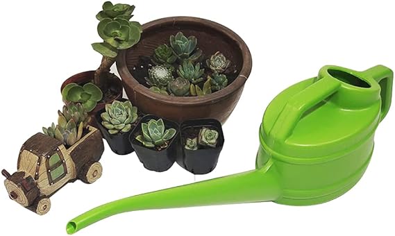 Gieter met lange uitloop | Ergonomisch en veelzijdig 6