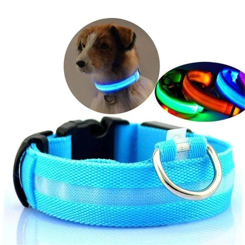 GlowPets | LED hondenhalsband met nylon vlechtwerk 0