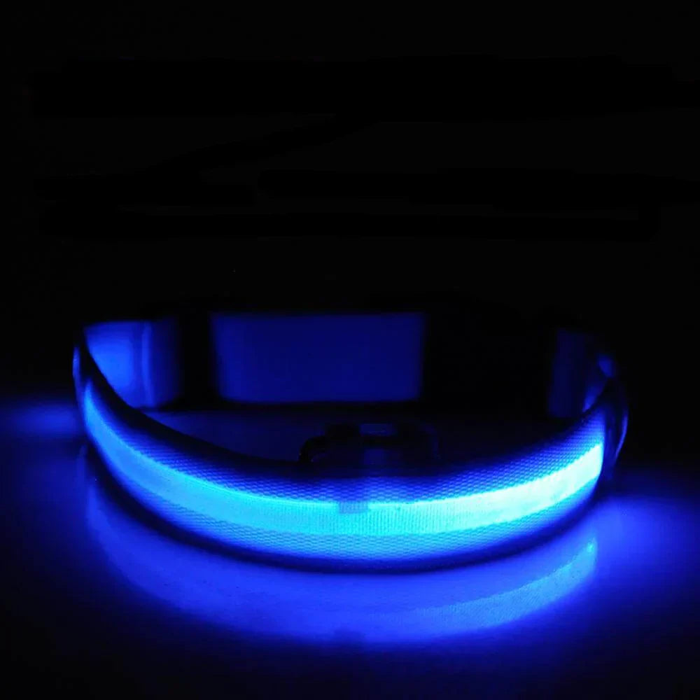 GlowPets | LED hondenhalsband met nylon vlechtwerk 2