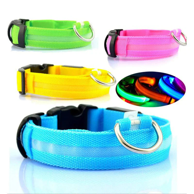 GlowPets | LED hondenhalsband met nylon vlechtwerk 3
