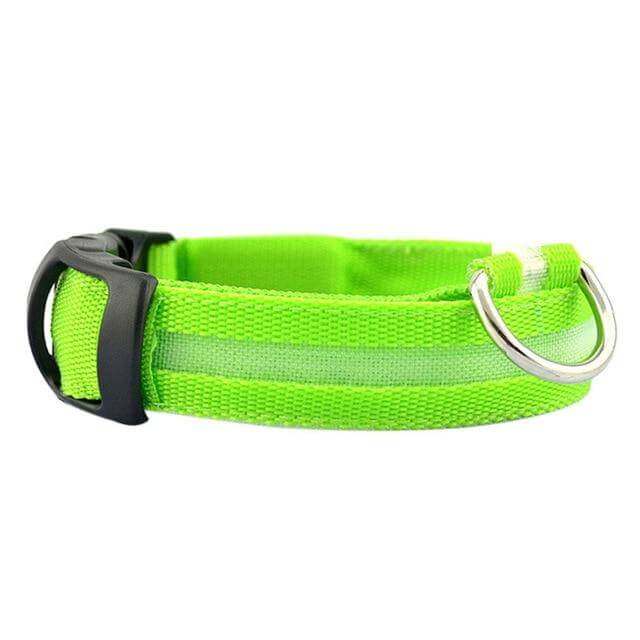 GlowPets | LED hondenhalsband met nylon vlechtwerk 5