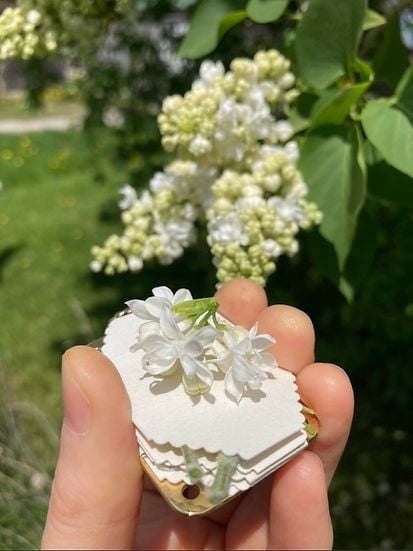 Mini Bloemenpers | Navando