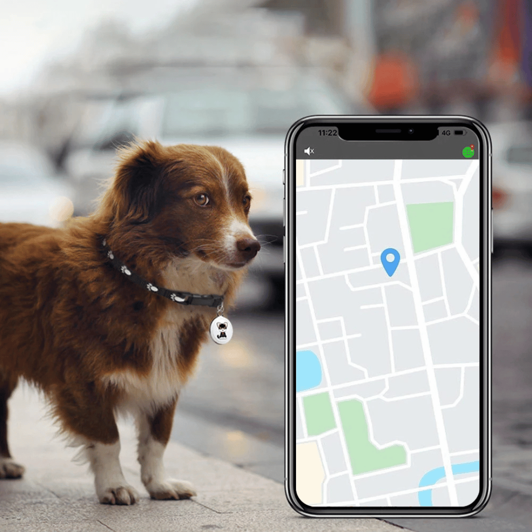 Navando | Compacte Bluetooth Tracker Voor Huisdieren