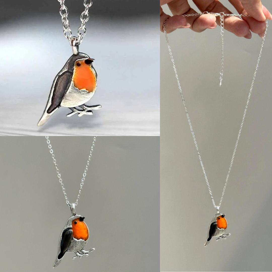 Navando | Roodborstje Sieradenset Met Ketting En Oorbellen