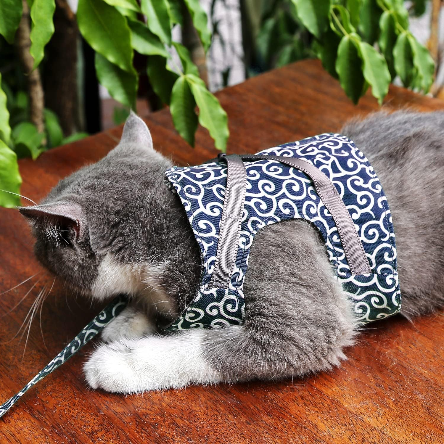 Navando | Vluchtvrij Kattentuig Met Riem