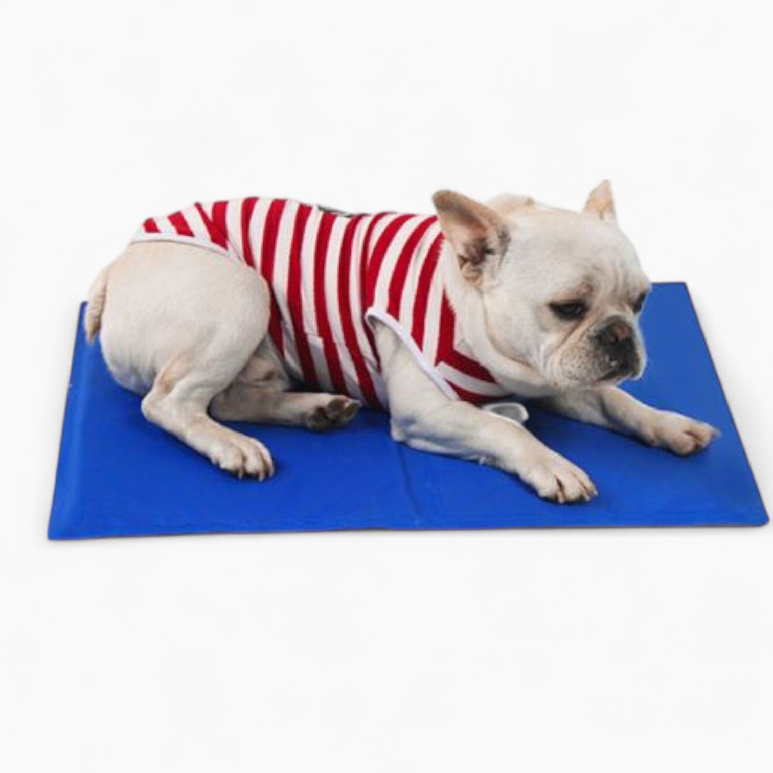 Opvouwbare Koelmat Voor Honden | Navando 
