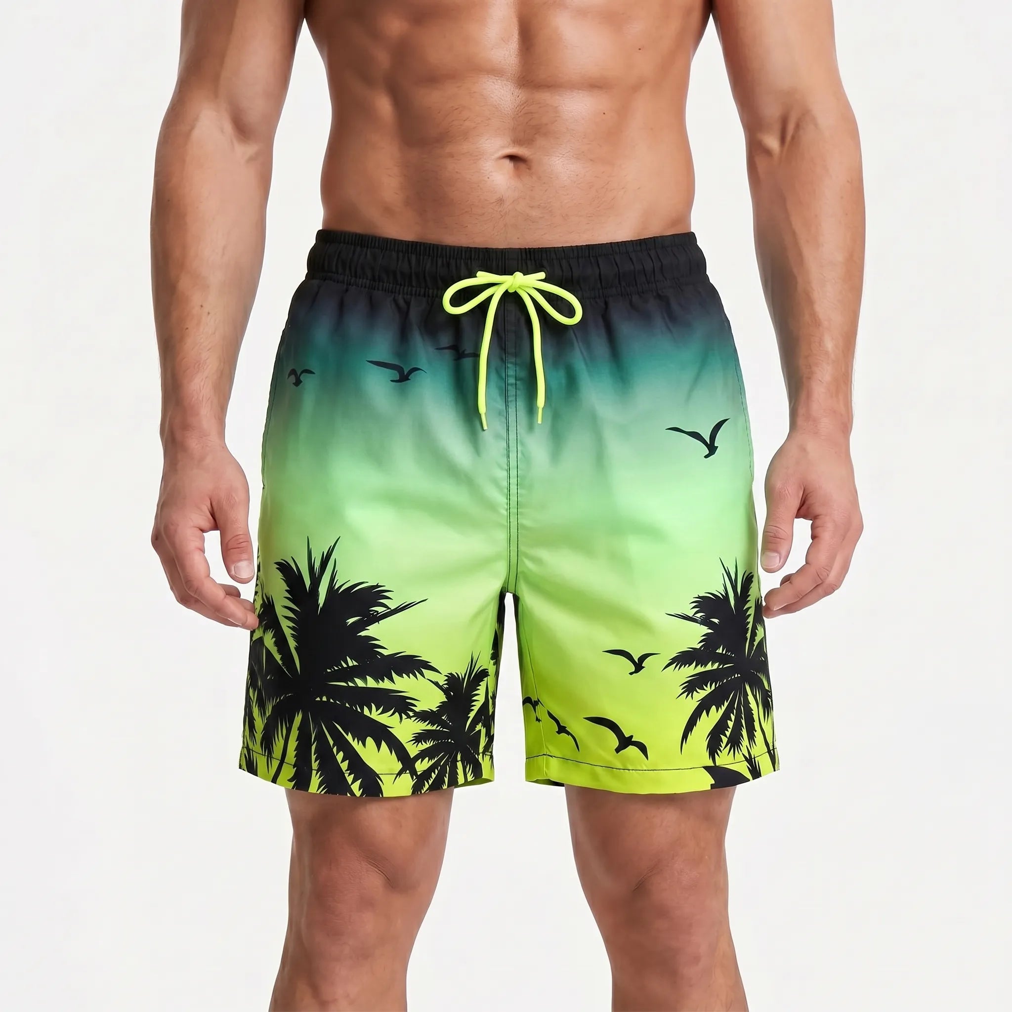 Zwemshort Met Kleurverloop | Navando 
