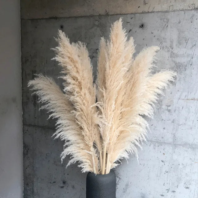 Jonathan | Gedroogde pampaspluimen, natuurlijke decoratie - Beige