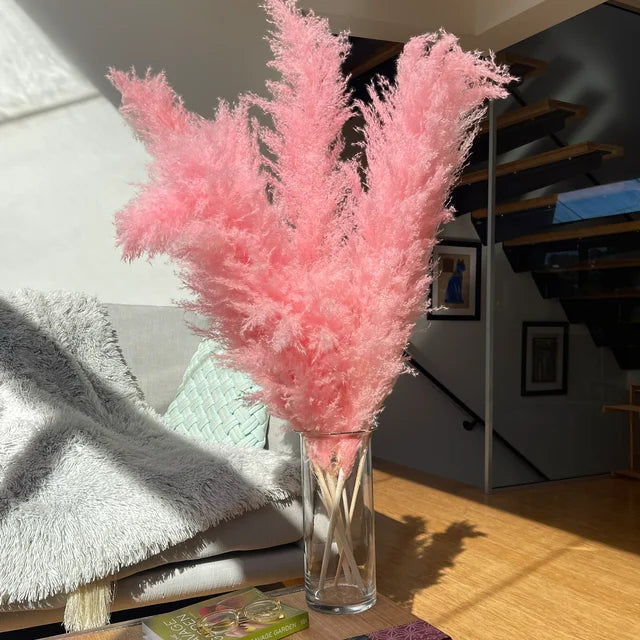 Jonathan | Gedroogde pampaspluimen, natuurlijke decoratie - Roze