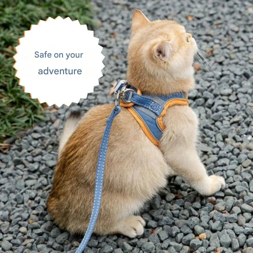 Stef | Kattenharnas met lijn, verstelbaar en reflecterend - foto 5